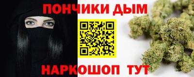 a pvp Камышлов