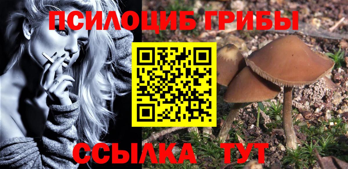 Псилоцибиновые грибы Cubensis Конаково